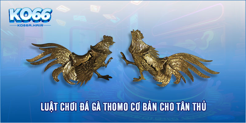 Luật chơi đá gà Thomo cơ bản cho tân thủ