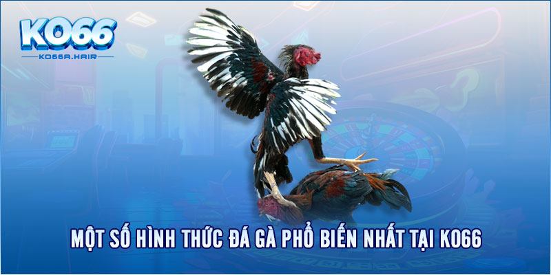 Một số hình thức đá gà phổ biến nhất tại KO66